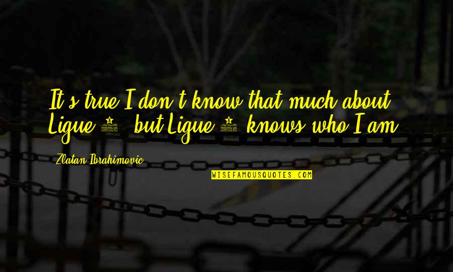 Zlatan Ibrahimovic Quotes By Zlatan Ibrahimovic: It's true I don't know that much about