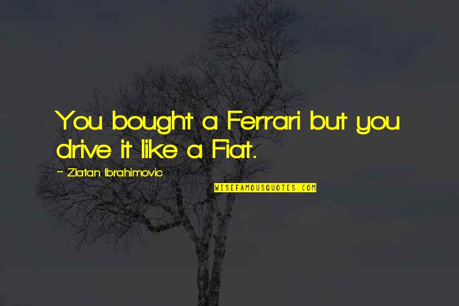 Zlatan Quotes By Zlatan Ibrahimovic: You bought a Ferrari but you drive it