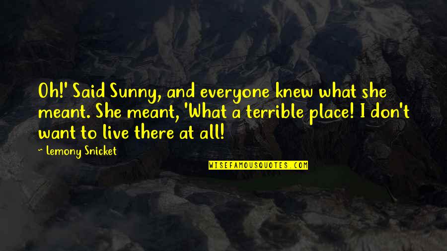 Zlatarski Sir Quotes By Lemony Snicket: Oh!' Said Sunny, and everyone knew what she
