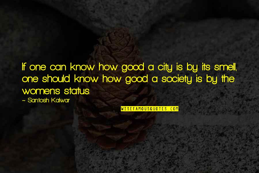 Zodiac Signs Picture Quotes By Santosh Kalwar: If one can know how good a city