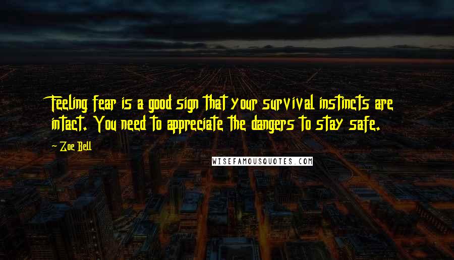 Zoe Bell quotes: Feeling fear is a good sign that your survival instincts are intact. You need to appreciate the dangers to stay safe.