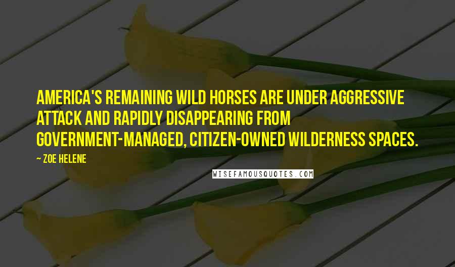 Zoe Helene quotes: America's remaining wild horses are under aggressive attack and rapidly disappearing from government-managed, citizen-owned wilderness spaces. Zoe Helene quotes: America's remaining wild horses are under aggressive attack and rapidly disappearing from government-managed, citizen-owned wilderness spaces.