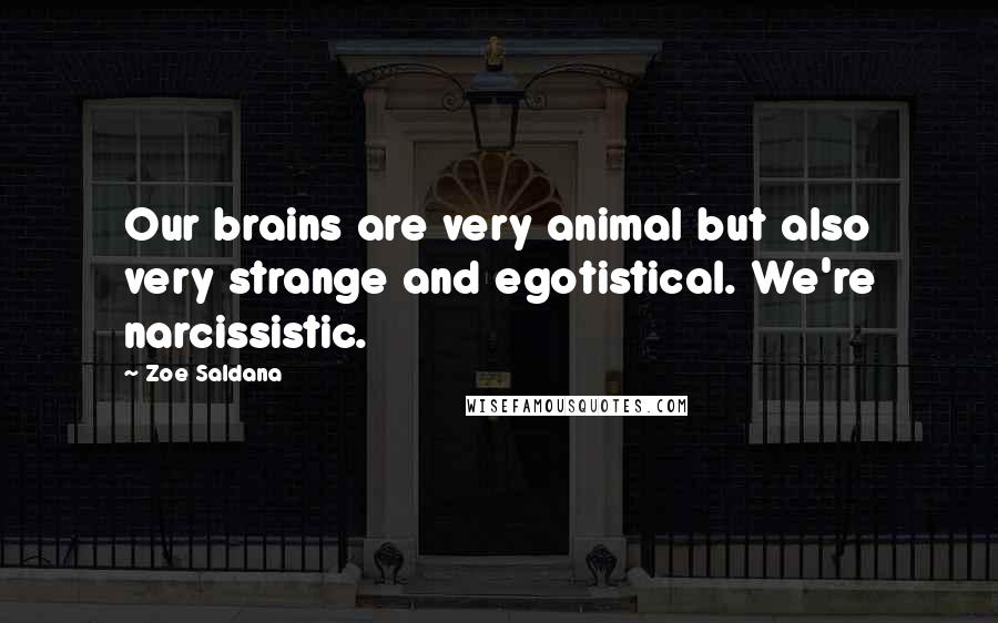 Zoe Saldana quotes: Our brains are very animal but also very strange and egotistical. We're narcissistic.