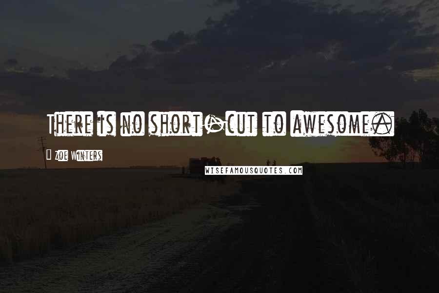 Zoe Winters quotes: There is no short-cut to awesome.