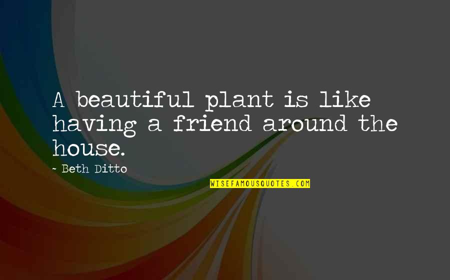 Zoelene Quotes By Beth Ditto: A beautiful plant is like having a friend