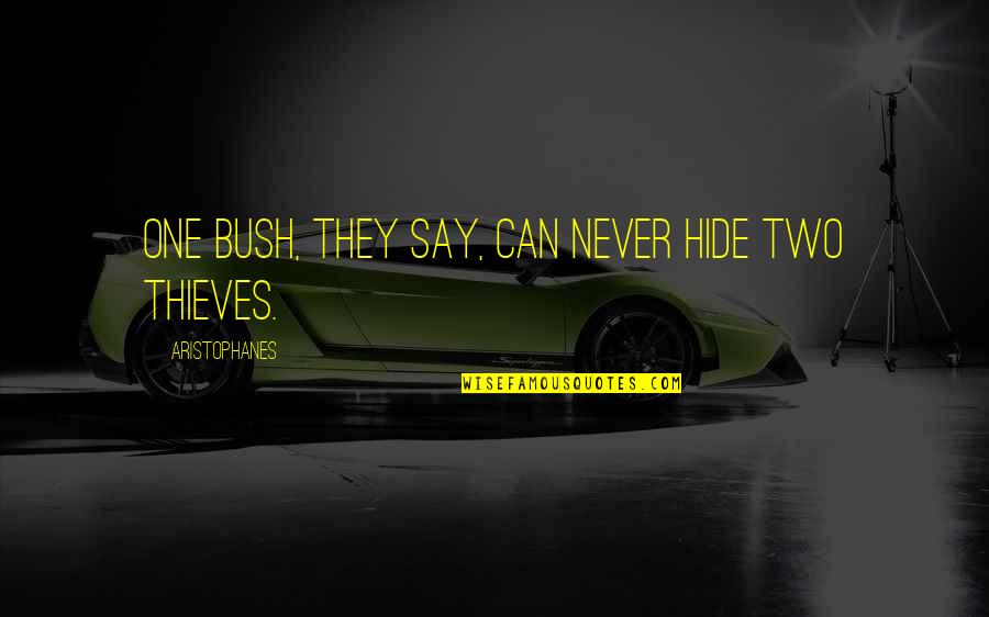 Zoes Extraordinary Playlist Quotes By Aristophanes: One bush, they say, can never hide two Zoes Extraordinary Playlist Quotes By Aristophanes: One bush, they say, can never hide two