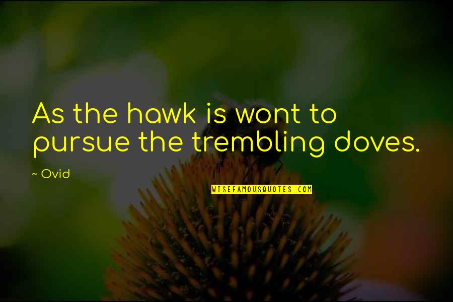 Zoeteman Quotes By Ovid: As the hawk is wont to pursue the