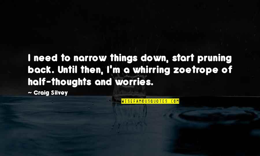 Zoetrope Quotes By Craig Silvey: I need to narrow things down, start pruning