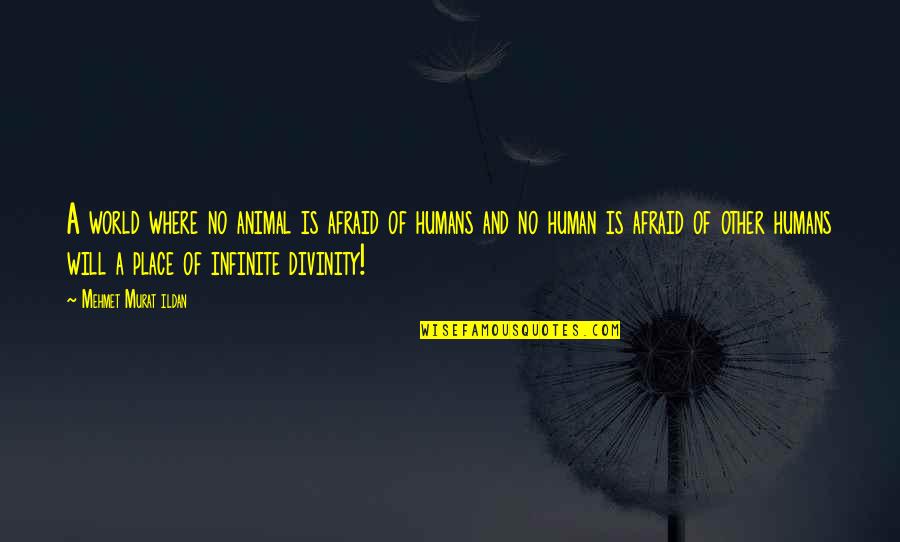 Zogbys School Quotes By Mehmet Murat Ildan: A world where no animal is afraid of Zogbys School Quotes By Mehmet Murat Ildan: A world where no animal is afraid of