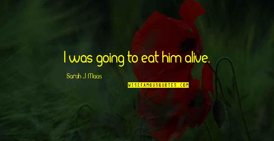 Zombori Kft Quotes By Sarah J. Maas: I was going to eat him alive. Zombori Kft Quotes By Sarah J. Maas: I was going to eat him alive.