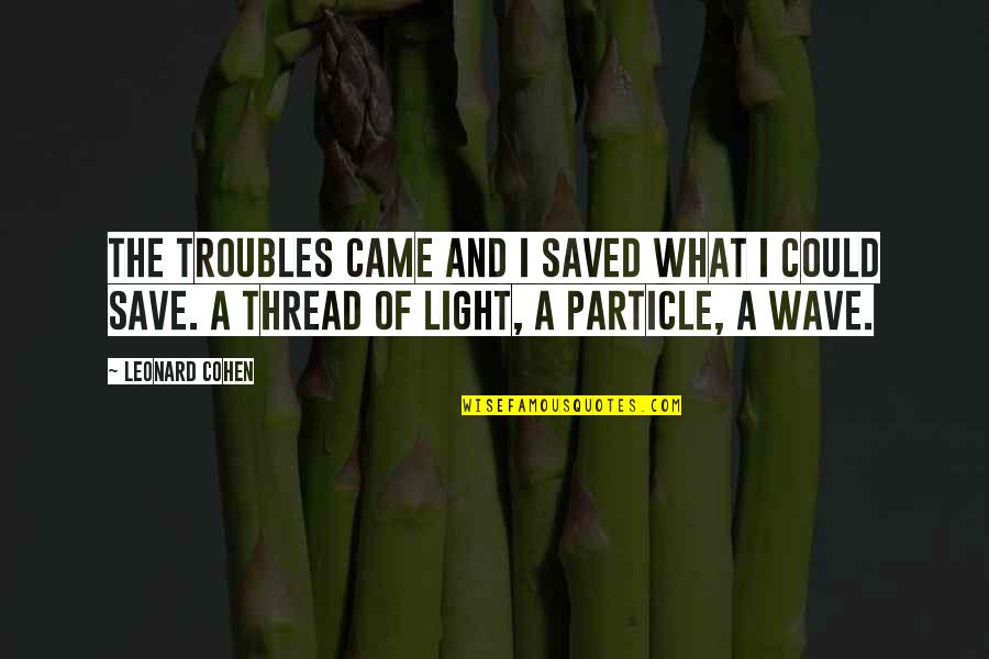 Zontseo Quotes By Leonard Cohen: The troubles came and I saved what I