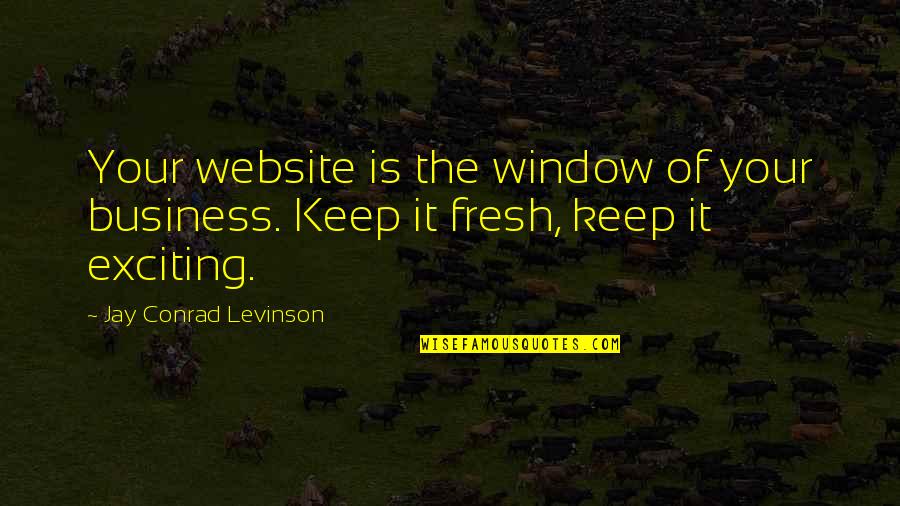 Zookeeper's Wife Quotes By Jay Conrad Levinson: Your website is the window of your business.