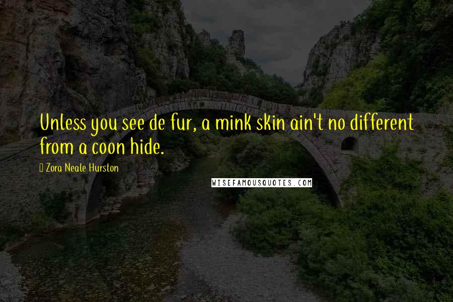 Zora Neale Hurston quotes: Unless you see de fur, a mink skin ain't no different from a coon hide.