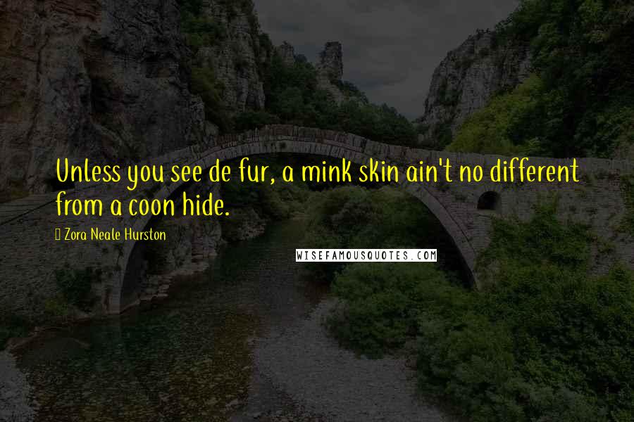 Zora Neale Hurston quotes: Unless you see de fur, a mink skin ain't no different from a coon hide. Zora Neale Hurston quotes: Unless you see de fur, a mink skin ain't no different from a coon hide.
