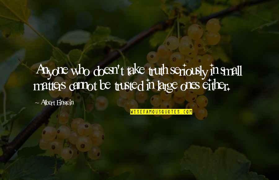 Zorica Stanimirovic Quotes By Albert Einstein: Anyone who doesn't take truth seriously in small