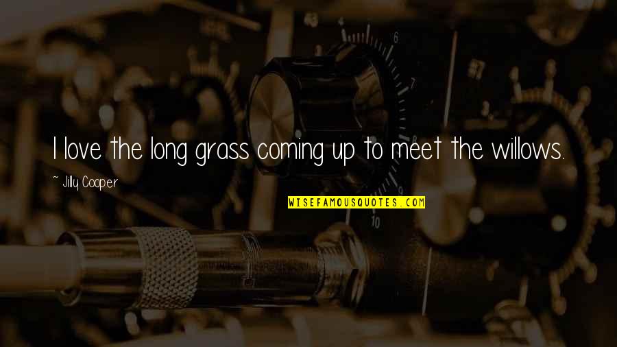 Zouden Jullie Quotes By Jilly Cooper: I love the long grass coming up to