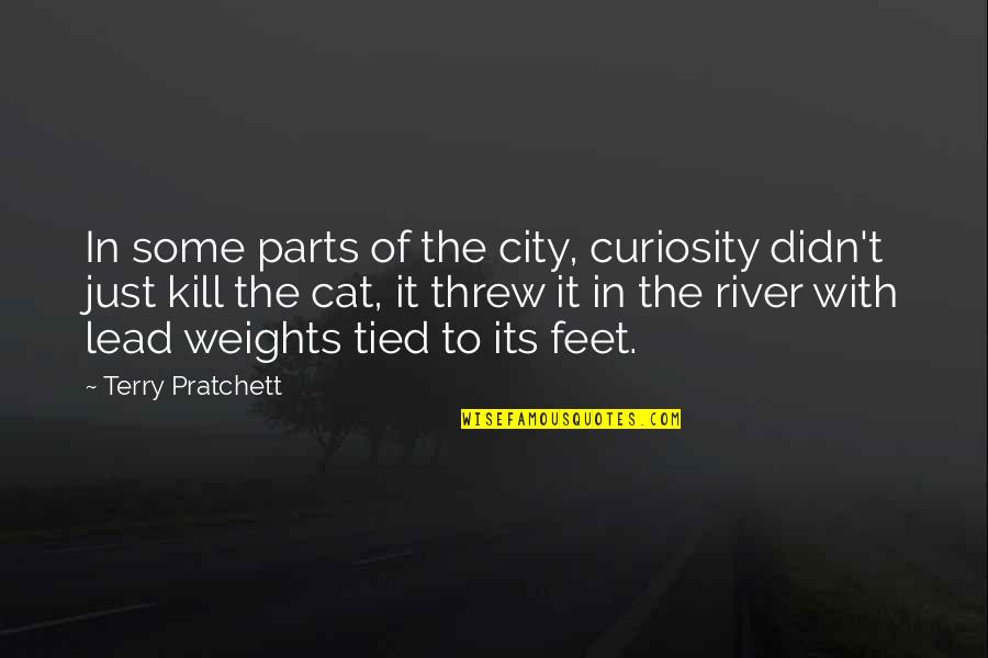 Zoyd Quotes By Terry Pratchett: In some parts of the city, curiosity didn't