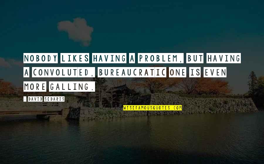 Zu Wenig Weisse Quotes By David Sedaris: Nobody likes having a problem, but having a