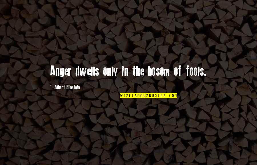 Zubair Wingback Quotes By Albert Einstein: Anger dwells only in the bosom of fools. Zubair Wingback Quotes By Albert Einstein: Anger dwells only in the bosom of fools.