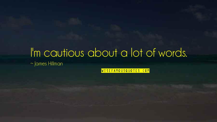 Zufluchtsst Tte Quotes By James Hillman: I'm cautious about a lot of words. Zufluchtsst Tte Quotes By James Hillman: I'm cautious about a lot of words.