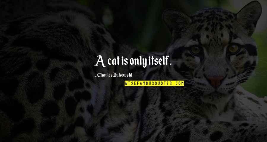 Zuko Inspirational Quotes By Charles Bukowski: A cat is only itself.