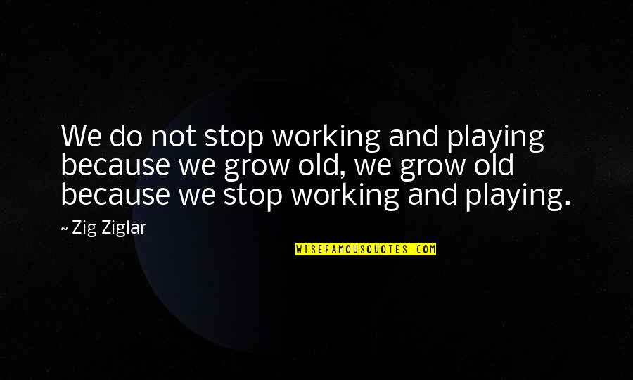 Zurbaran Agnus Quotes By Zig Ziglar: We do not stop working and playing because