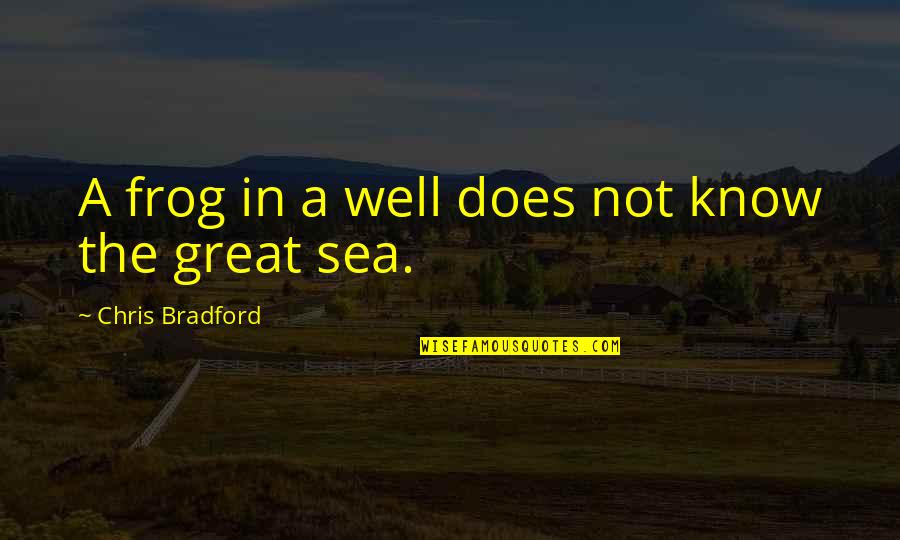 Zuriko Kokliani Quotes By Chris Bradford: A frog in a well does not know