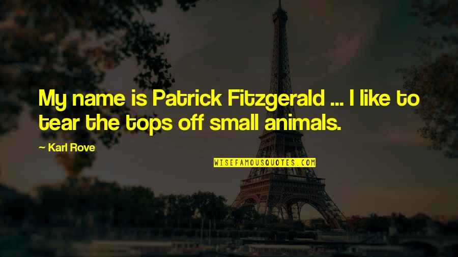Zvenku Quotes By Karl Rove: My name is Patrick Fitzgerald ... I like