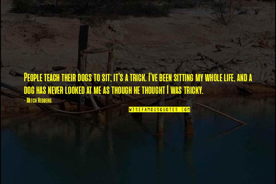 Zvijezda Tjera Quotes By Mitch Hedberg: People teach their dogs to sit; it's a Zvijezda Tjera Quotes By Mitch Hedberg: People teach their dogs to sit; it's a
