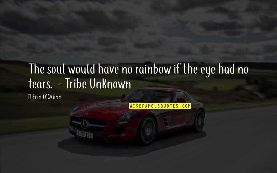 Zvise Quotes By Erin O'Quinn: The soul would have no rainbow if the