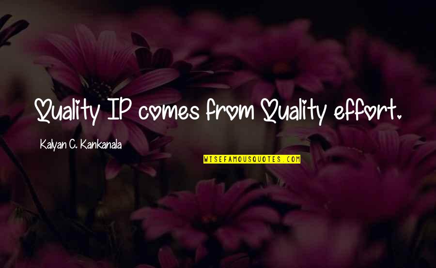 Zwembad Quotes By Kalyan C. Kankanala: Quality IP comes from Quality effort.
