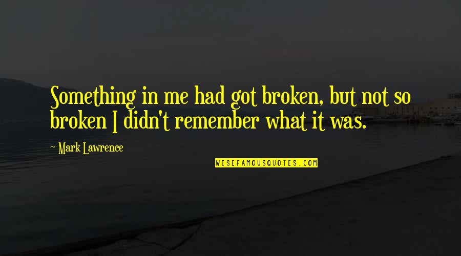 Zwergschnauzer Quotes By Mark Lawrence: Something in me had got broken, but not