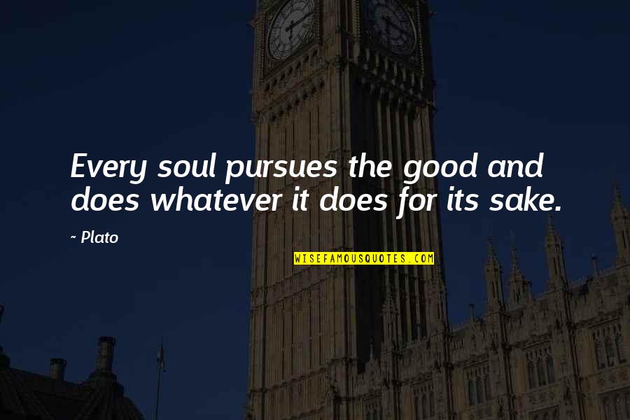 Zweten Zonder Quotes By Plato: Every soul pursues the good and does whatever