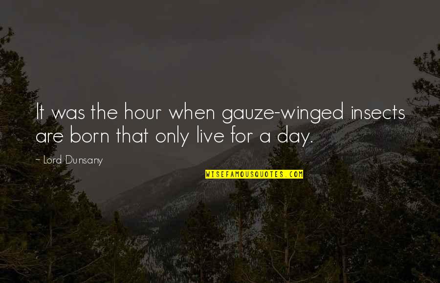 Zwiebelmuster Quotes By Lord Dunsany: It was the hour when gauze-winged insects are