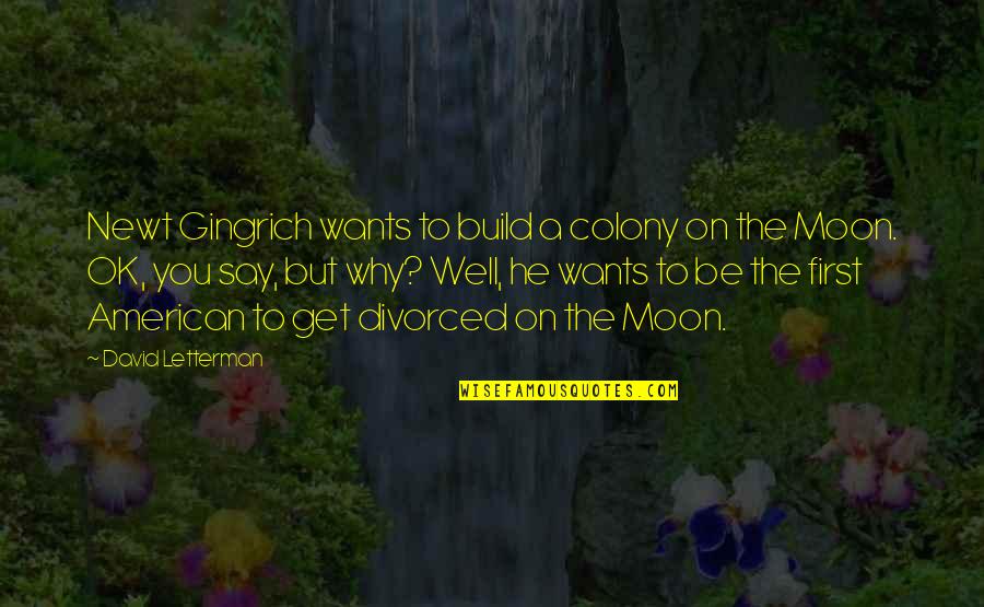 Zwiegespr Ch Quotes By David Letterman: Newt Gingrich wants to build a colony on