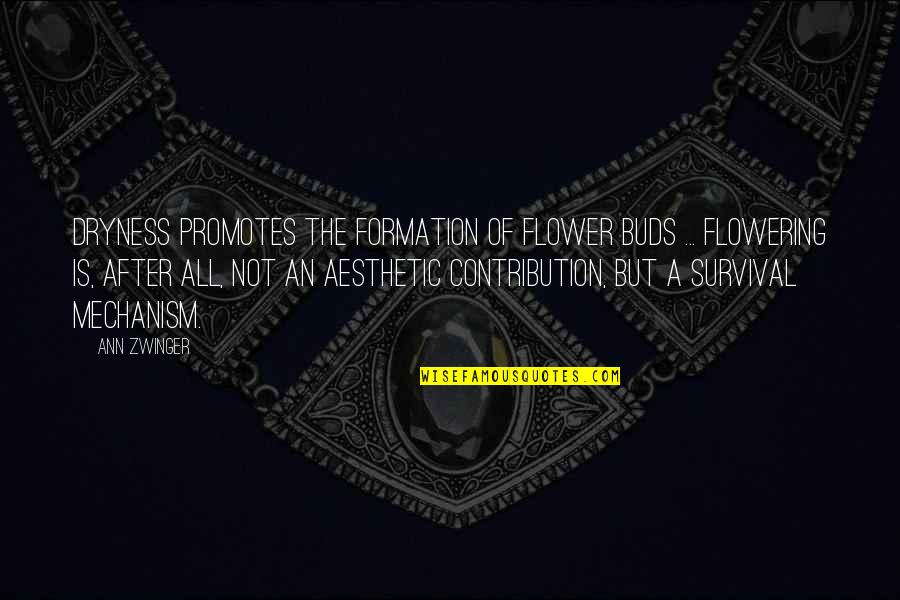 Zwinger Quotes By Ann Zwinger: Dryness promotes the formation of flower buds ...