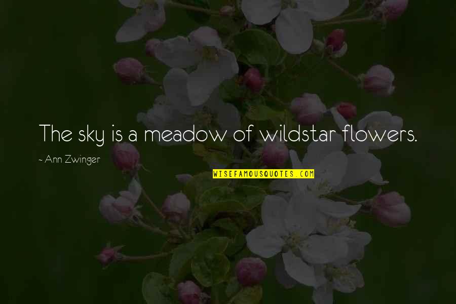 Zwinger Quotes By Ann Zwinger: The sky is a meadow of wildstar flowers.