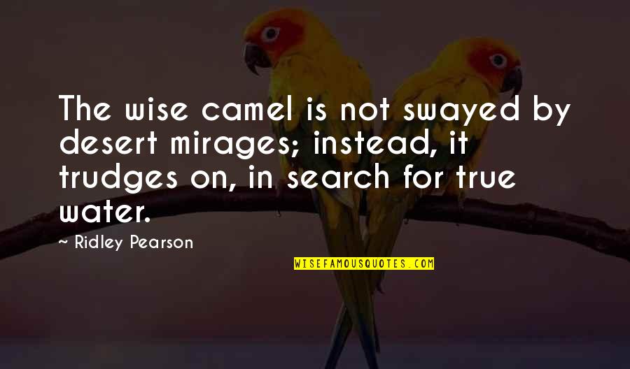 Zypressenstrasse Quotes By Ridley Pearson: The wise camel is not swayed by desert Zypressenstrasse Quotes By Ridley Pearson: The wise camel is not swayed by desert