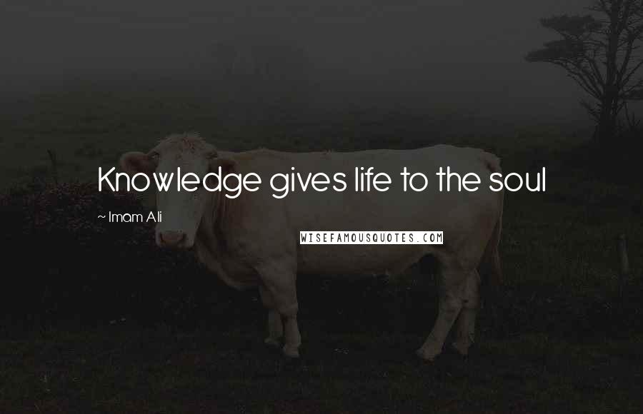 Imam Ali Quotes: Knowledge gives life to the soul