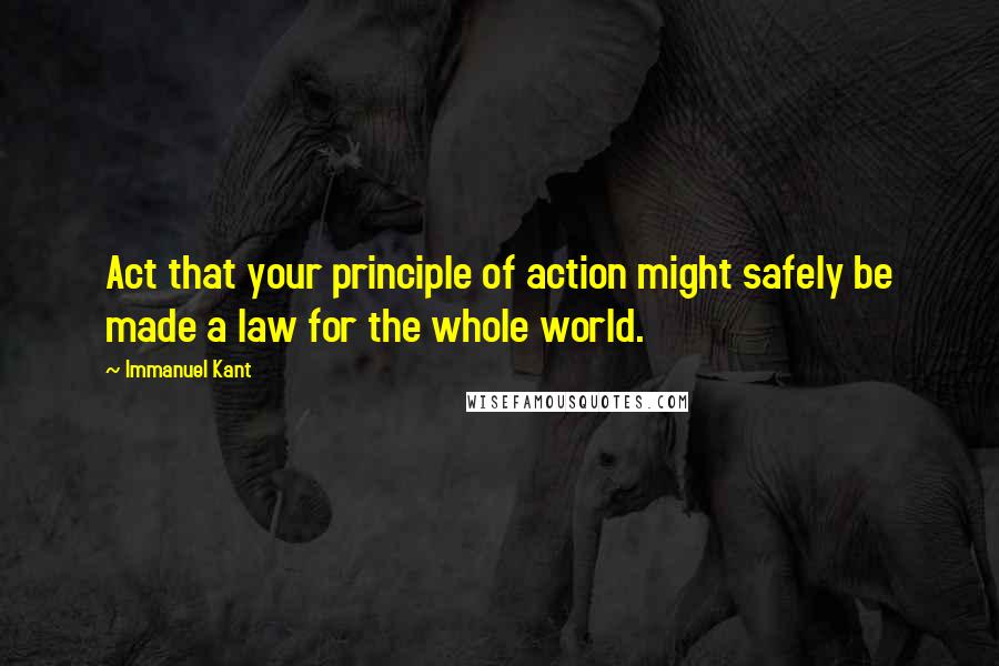 Immanuel Kant Quotes: Act that your principle of action might safely be made a law for the whole world.