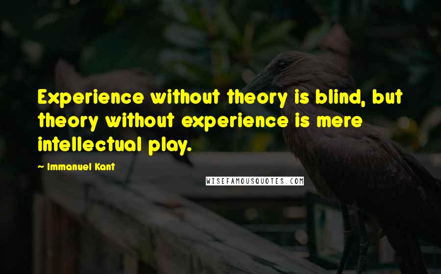 Immanuel Kant Quotes: Experience without theory is blind, but theory without experience is mere intellectual play.