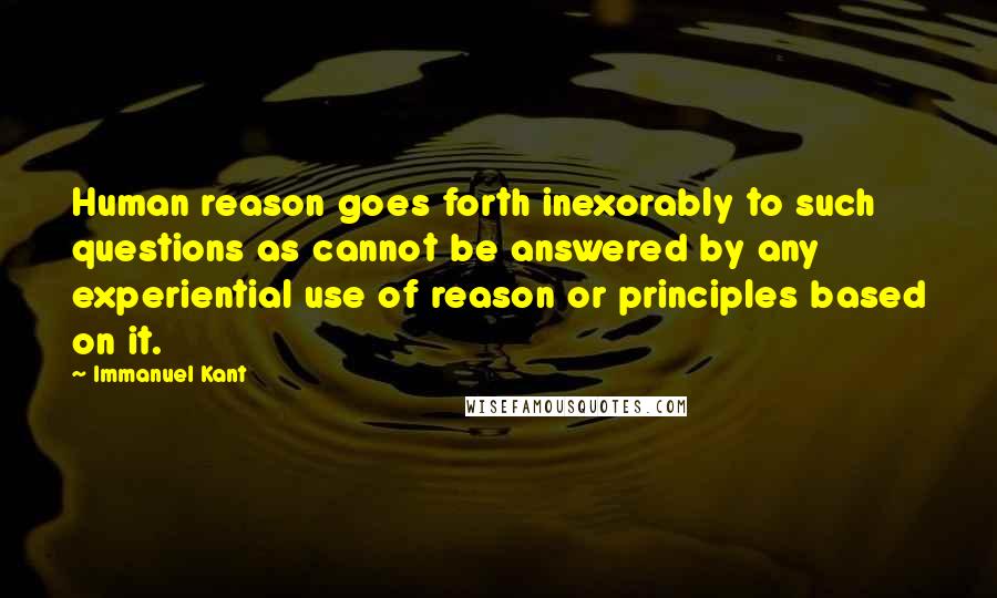 Immanuel Kant Quotes: Human reason goes forth inexorably to such questions as cannot be answered by any experiential use of reason or principles based on it.