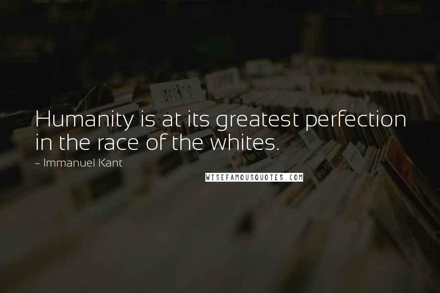 Immanuel Kant Quotes: Humanity is at its greatest perfection in the race of the whites.