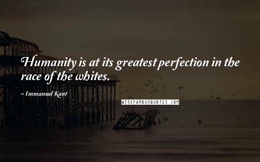 Immanuel Kant Quotes: Humanity is at its greatest perfection in the race of the whites.