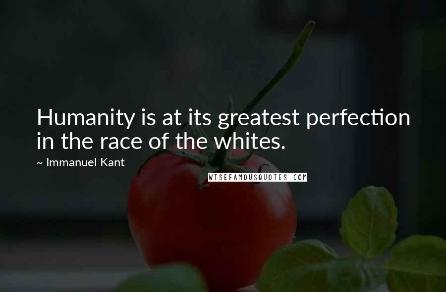 Immanuel Kant Quotes: Humanity is at its greatest perfection in the race of the whites.