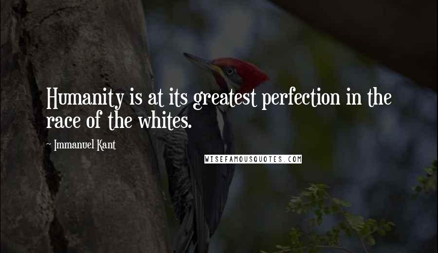 Immanuel Kant Quotes: Humanity is at its greatest perfection in the race of the whites.