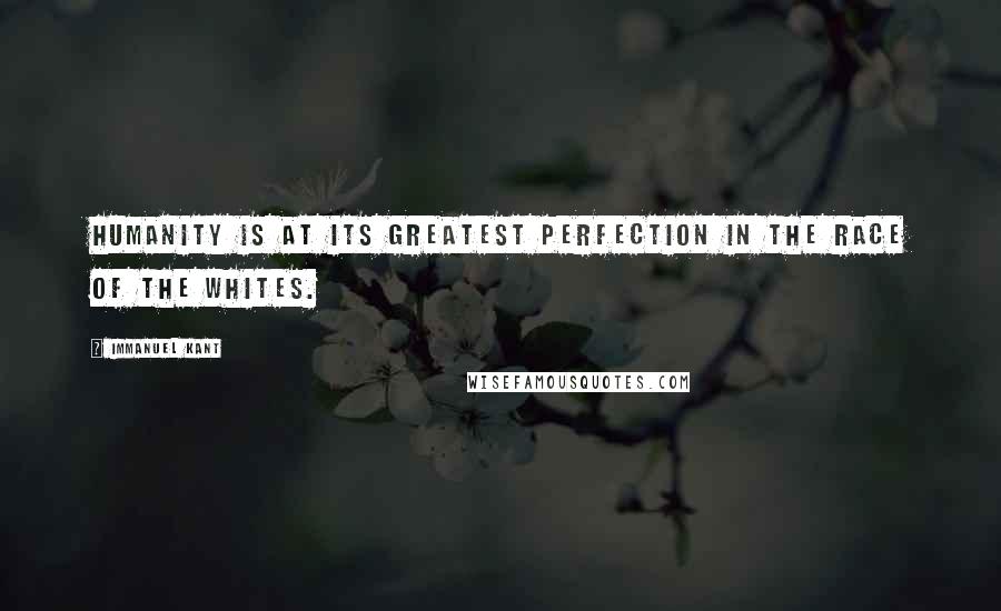 Immanuel Kant Quotes: Humanity is at its greatest perfection in the race of the whites.