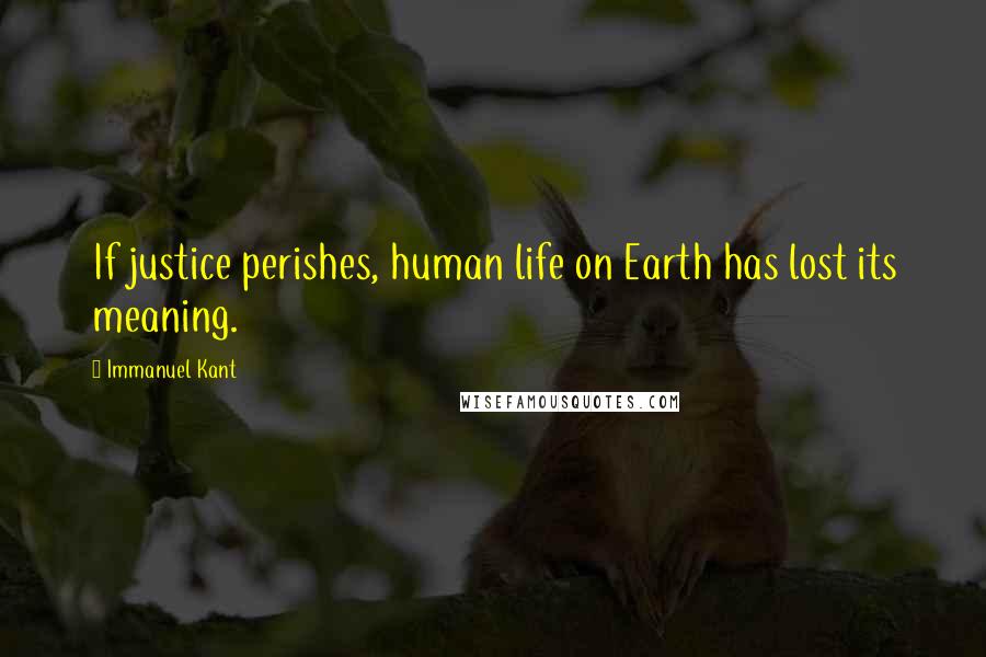 Immanuel Kant Quotes: If justice perishes, human life on Earth has lost its meaning.