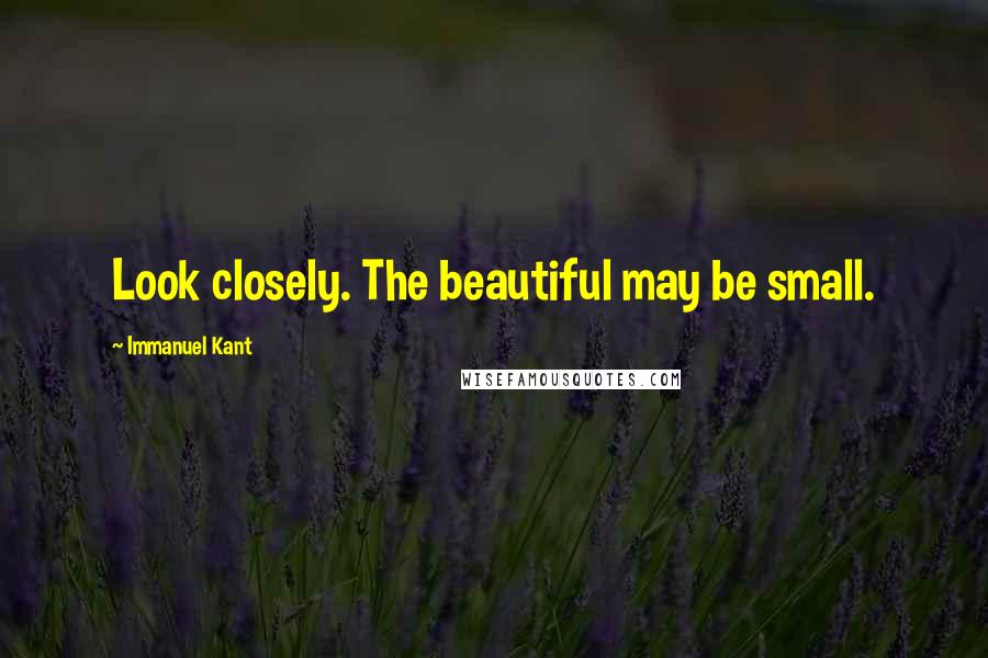 Immanuel Kant Quotes: Look closely. The beautiful may be small.