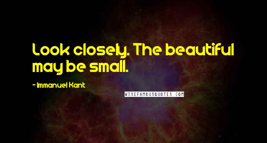 Immanuel Kant Quotes: Look closely. The beautiful may be small.